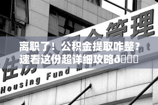 政和离职了！公积金提取咋整？速看这份超详细攻略😎